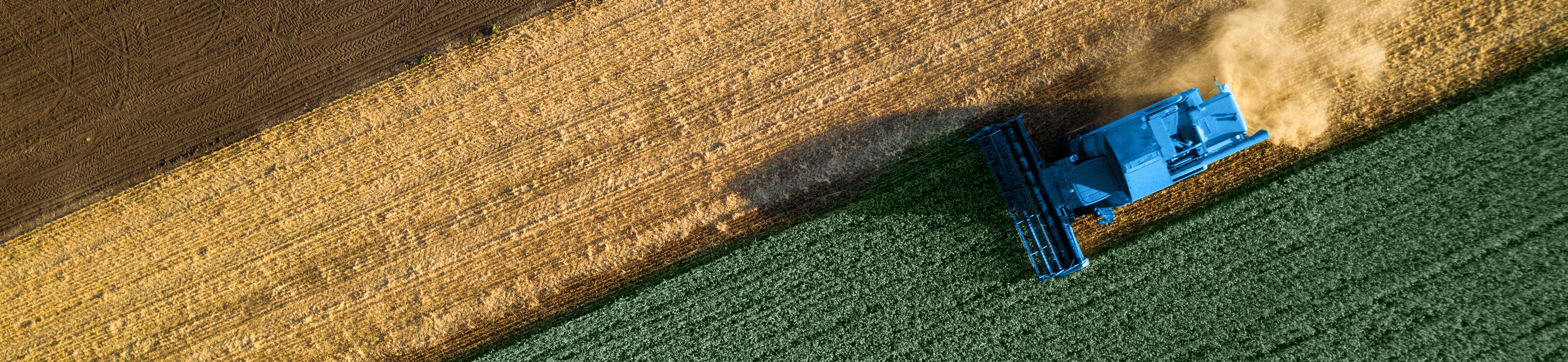 Wir helfen Kunden, Ernte einzufahren